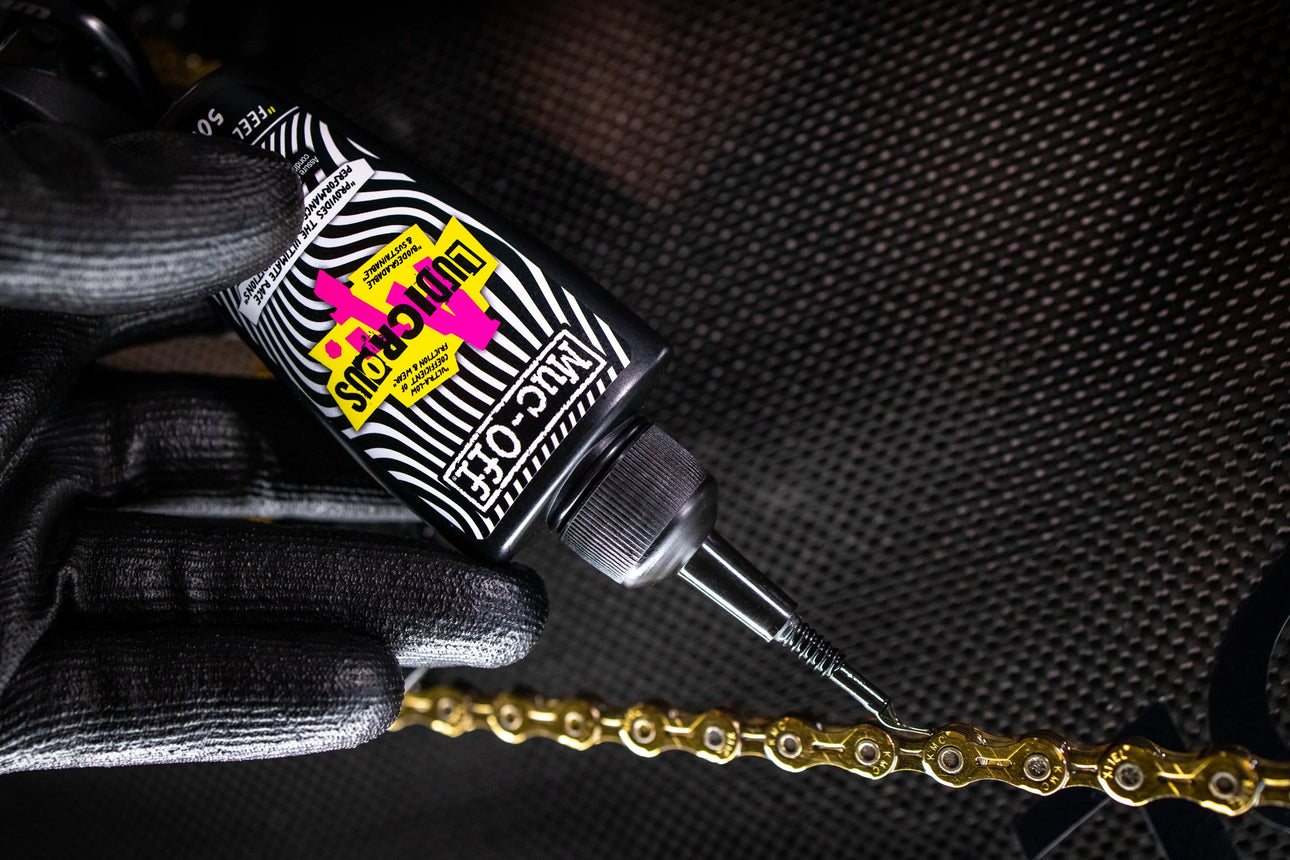 It's Ludicrous... AF!