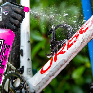 Bicycle All Over Cleaning