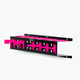 Expert Rack Bundle